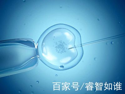 染色体易位案例